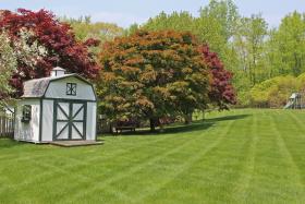 https://housecallsdiy.com/uploads/projects/Back_Lawn_with_Shed.jpg