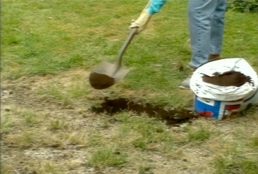How to Fix Brown Spots in Your Lawn