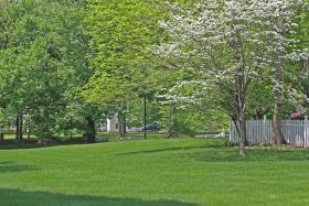 https://housecallsdiy.com/uploads/projects/South_Lawn.jpg