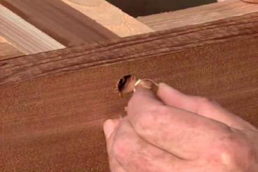 wood plug for screw hole