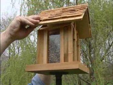 bird feeder