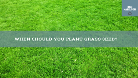 https://housecallsdiy.com/uploads/projects/grass_seed.png