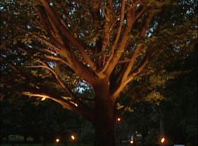 https://housecallsdiy.com/uploads/projects/outdoor_lighting_design2.jpg